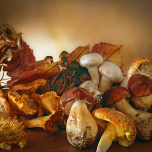 FUNGHI - OVOLI, PORCINI, CHIODINI, FINFERLI, CHAMPIGNON - S04950 - 70102
