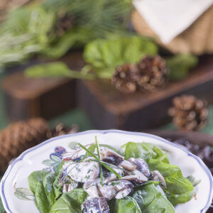 PRATAIOLI E SPINACI - GT6J2024