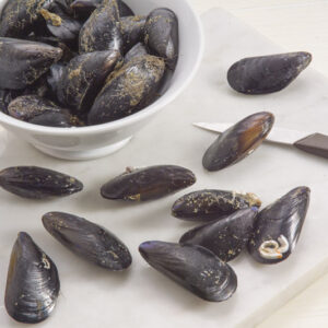 STEP 1 COZZE AL PREZZEMOLO - GT6J2059