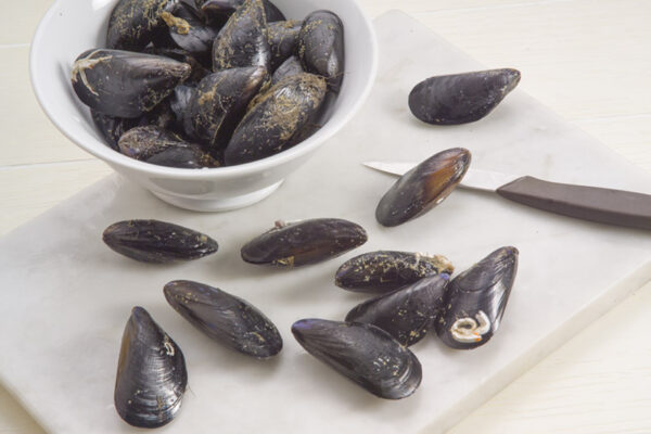 STEP 1 COZZE AL PREZZEMOLO - GT6J2059