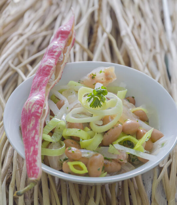 INSALATA DI NERVETTI - GT6J1755