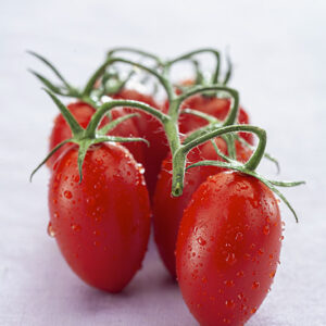 POMODORI PICCADILLY - 3681