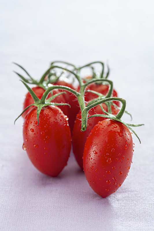 POMODORI PICCADILLY - 3681
