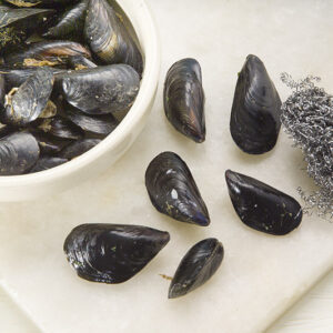 STEP 1 ACCIUGHE E COZZE - GT6J0262