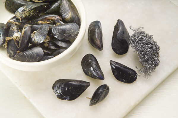 STEP 1 ACCIUGHE E COZZE - GT6J0262