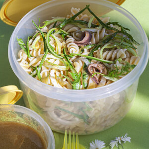 PICNIC - FUSILLI CON CATALOGNA SPIGATA FINOCCHIO E SALSA DI ACCIUGHE OLIO E AGLIO - 4743