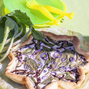 PICNIC - TORTA SALATA CON BORRAGINE CIPOLLA ROSSA FAGIOLINI RADICCHIO TACCOLE NOCE MOSCATA - 4749