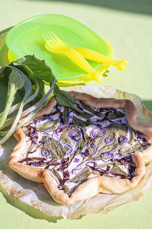 PICNIC - TORTA SALATA CON BORRAGINE CIPOLLA ROSSA FAGIOLINI RADICCHIO TACCOLE NOCE MOSCATA - 4749