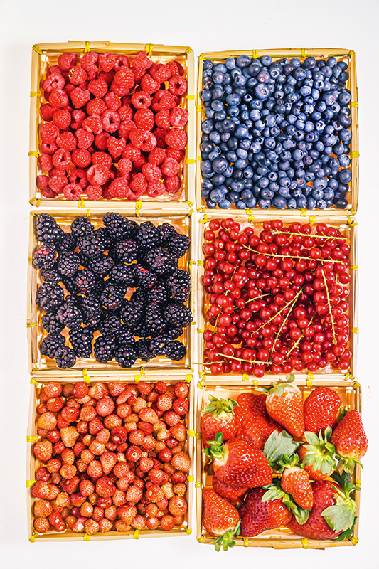 FRUTTI DI BOSCO E FRAGOLE - K8494