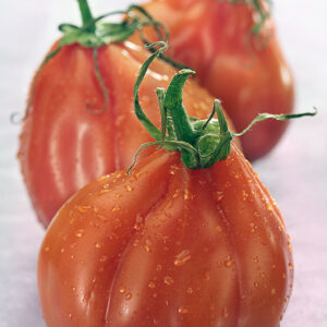 POMODORI CUORE DI BUE - 3737