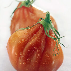 POMODORI CUORE DI BUE - 3755