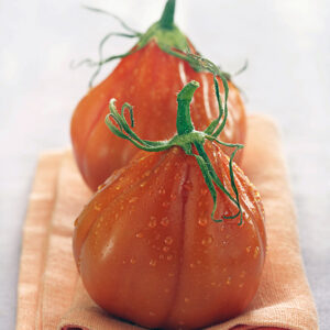 POMODORI CUORE DI BUE - 3763