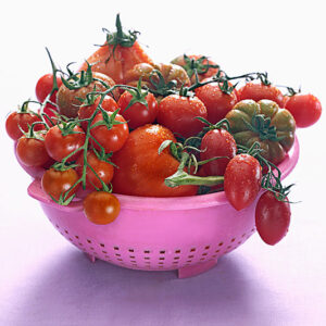 VARIETÀ DI POMODORI - 3795