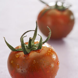 POMODORI CAMONE - 3631