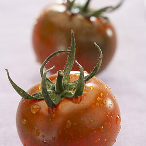 POMODORI CAMONE - 3633