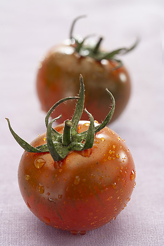 POMODORI CAMONE - 3633
