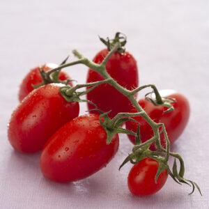 POMODORI PICCADILLY - 3678