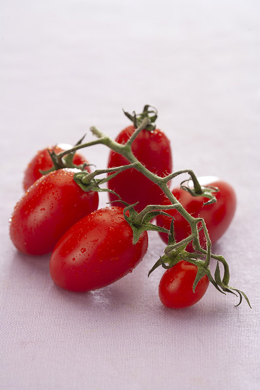 POMODORI PICCADILLY - 3678