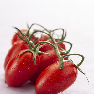 POMODORI PICCADILLY - 3684