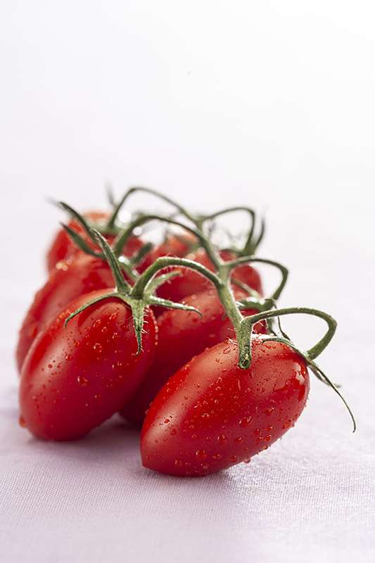 POMODORI PICCADILLY - 3684
