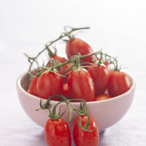 POMODORI PICCADILLY - 3688