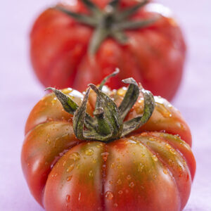 POMODORI MARINDA COSTOLUTO DI PACHINO - 3778