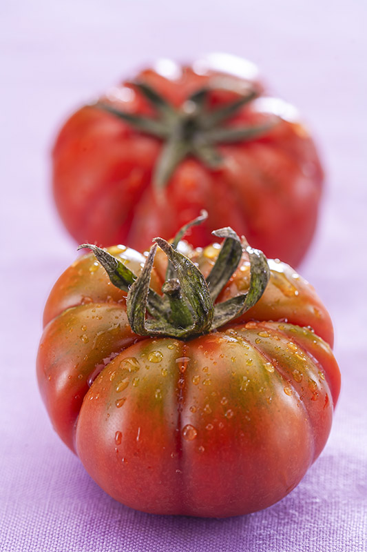 POMODORI MARINDA COSTOLUTO DI PACHINO - 3778
