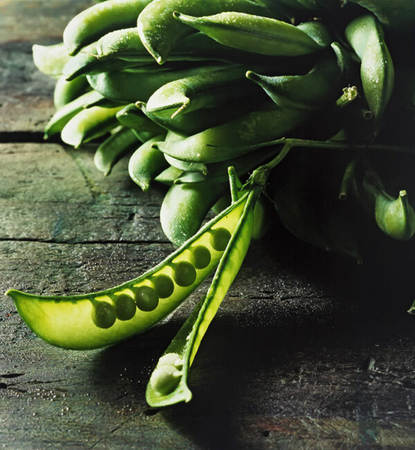 PISELLI STILL LIFE  - 2052