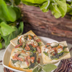 CROSTONI CON ERBETTE E PANCETTA AFFUMICATA - GT6J2242