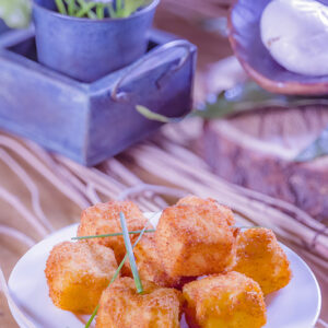 PROVATURA FRITTA - GT6J2222