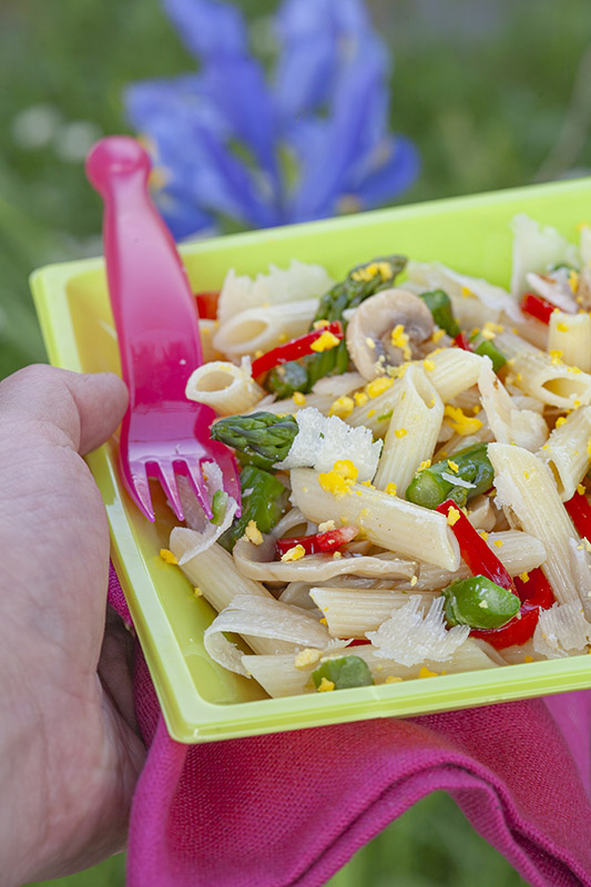 PICNIC - PENNE CON ASPARAGI PEPERONE ROSSO FUNGHI SOTTOLIO UOVO GRANA – 4809