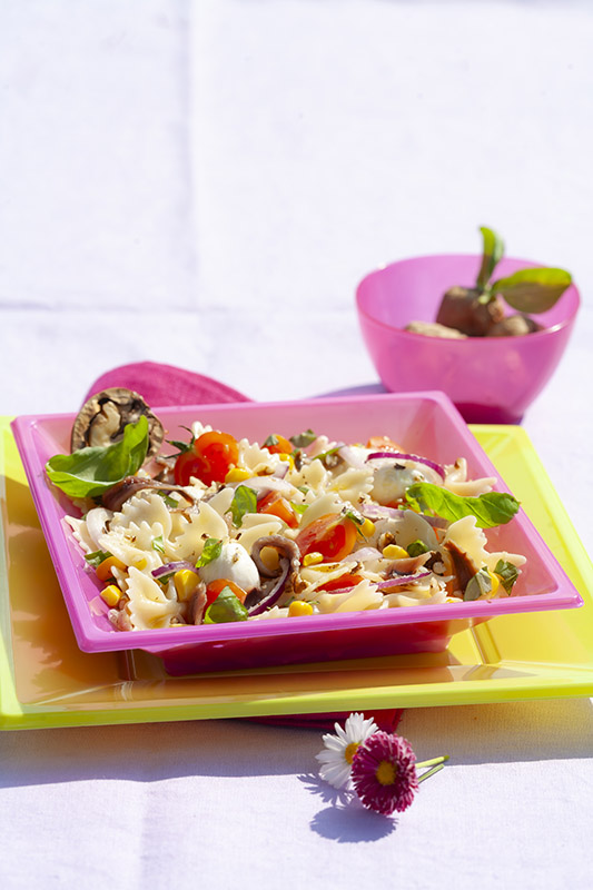 PICNIC - FARFALLE CON POMODORINI CIPOLLE ROSSE MAIS ACCIUGHE MOZZARELLA NOCI – 4844