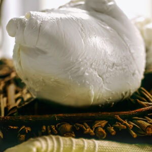 MOZZARELLA DI BUFALA - S01022353