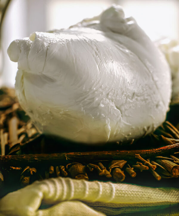 MOZZARELLA DI BUFALA - S01022353