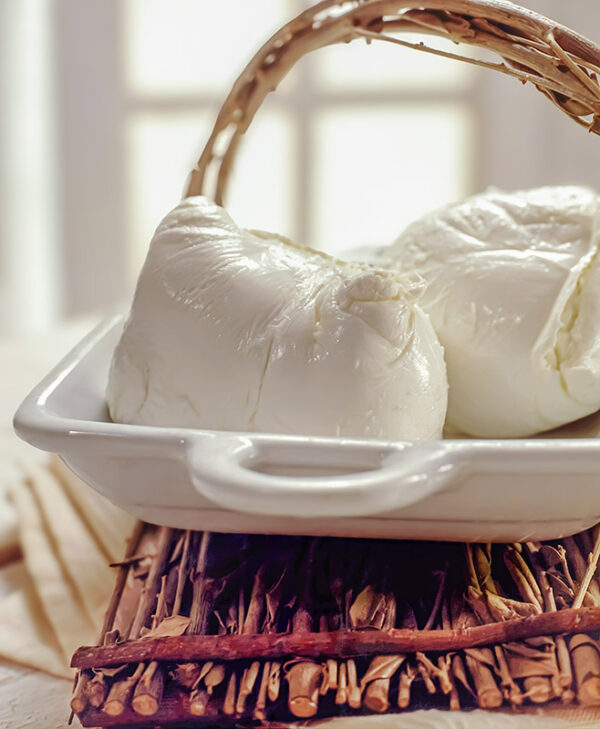 MOZZARELLA DI BUFALA - S01022358