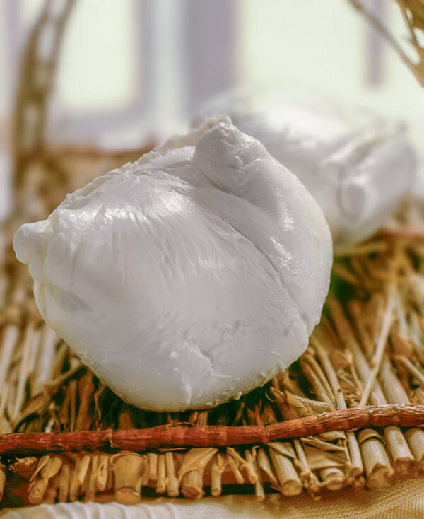 MOZZARELLA DI BUFALA - S01022356