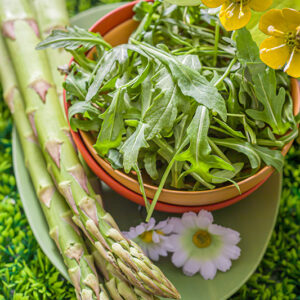 RUCOLA E ASPARAGI - K9314