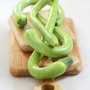ZUCCHINE TROMBETTA DI ALBENGA - 1721
