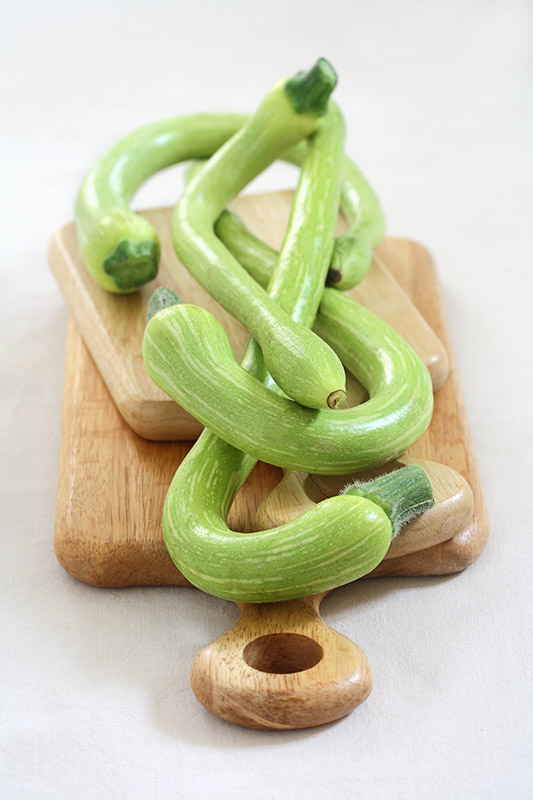 ZUCCHINE TROMBETTA DI ALBENGA - 1721
