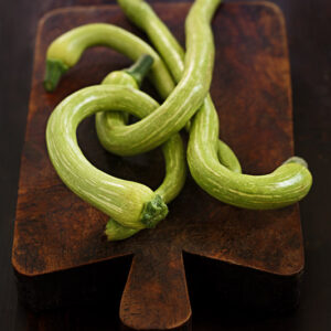 ZUCCHINE TROMBETTA DI ALBENGA - 1725