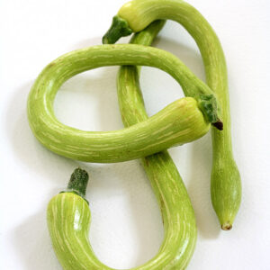 ZUCCHINE TROMBETTA DI ALBENGA - 1715