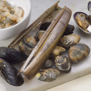 STEP 1 - CROSTONI ALLA GENOVESE - GT6J2292