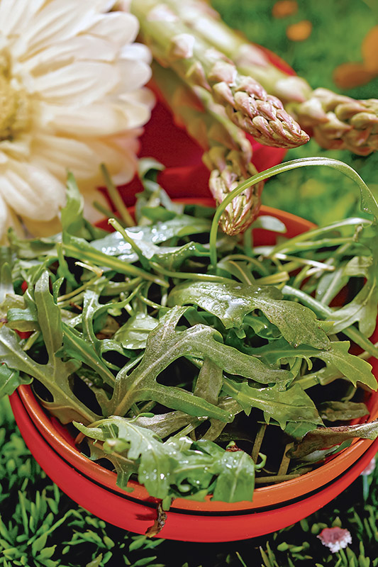 RUCOLA E ASPARAGI - K9319