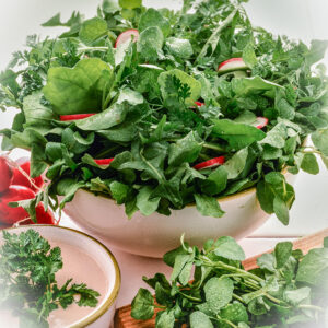INSALATA MILLE SAPORI - TC2810 - 1184