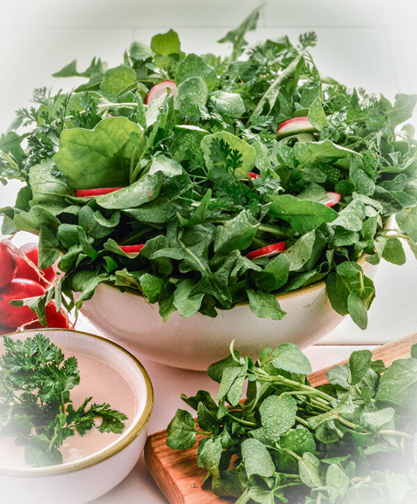 INSALATA MILLE SAPORI - TC2810 - 1184