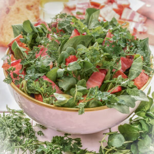 INSALATA PAESANA - TC2810 - 1186