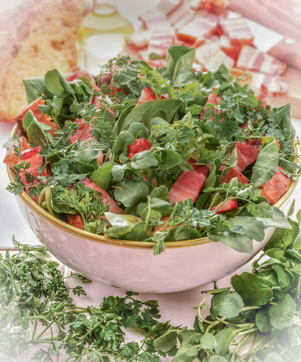 INSALATA PAESANA - TC2810 - 1186
