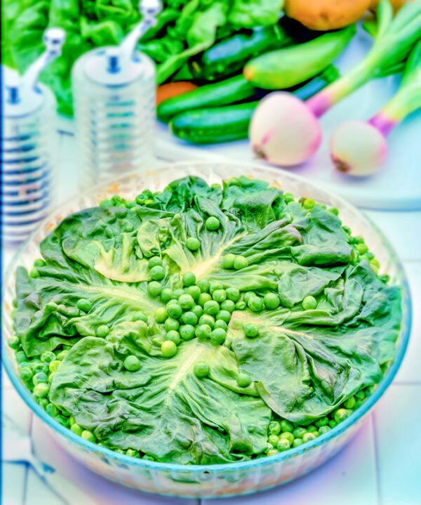 CHARLOTTE VEGETARIANA - GR2380 - 9548