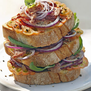 PANZANELLA CON CARNE IN GELATINA - 1057