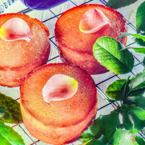 TORTINE DI FORMAGGIO ALLE ROSE - GR2656 - 4607